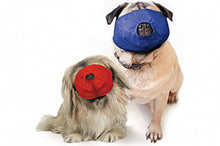 Load image into Gallery viewer, Quick Muzzle® for Pugs