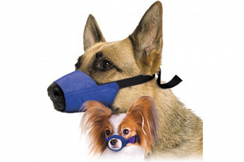 Muzzle cloth hot sale