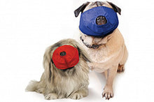 Load image into Gallery viewer, Quick Muzzle® for Pugs
